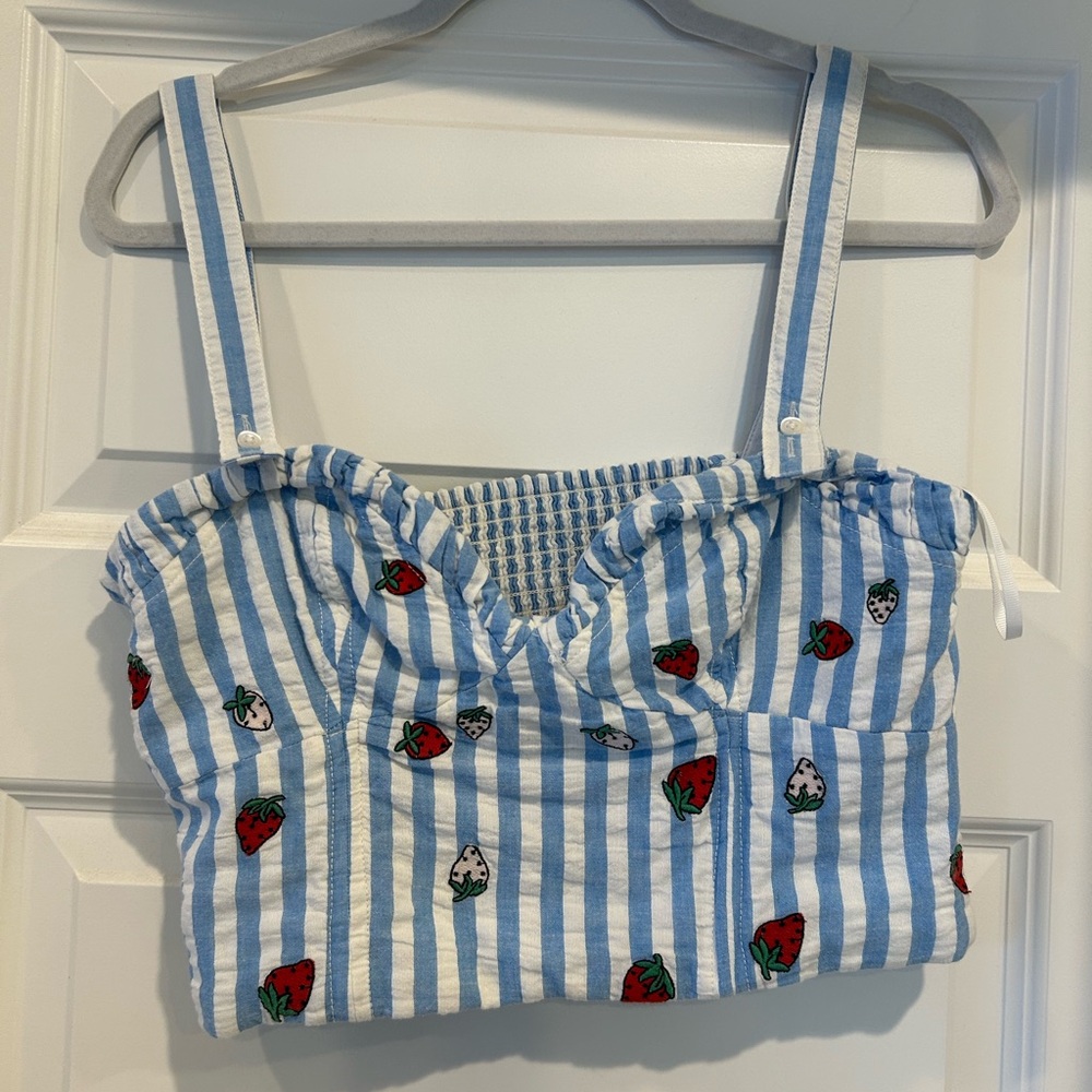 Anthropologie Striped Crop Top with Strawberry Print